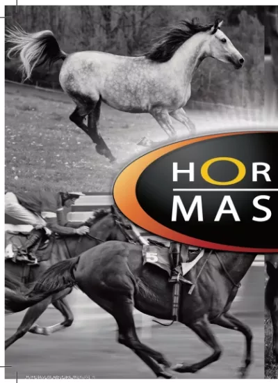 HORSE MASTER / FARNAM