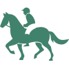 Magasin spécialisé en équitation - Boutique équestre Vannes en Morbihan
